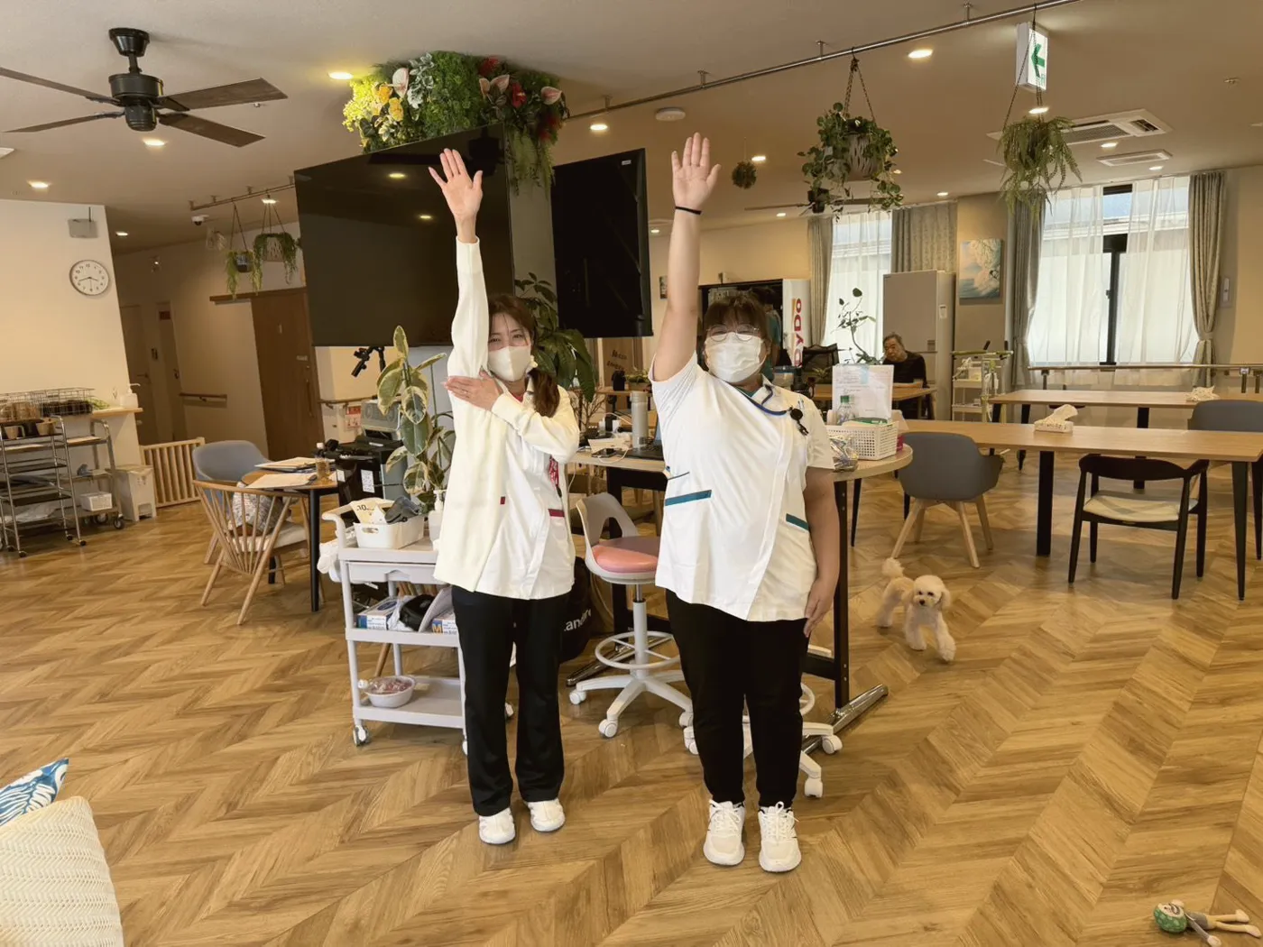 3SMILEの現場:スタッフと利用者の体操の様子