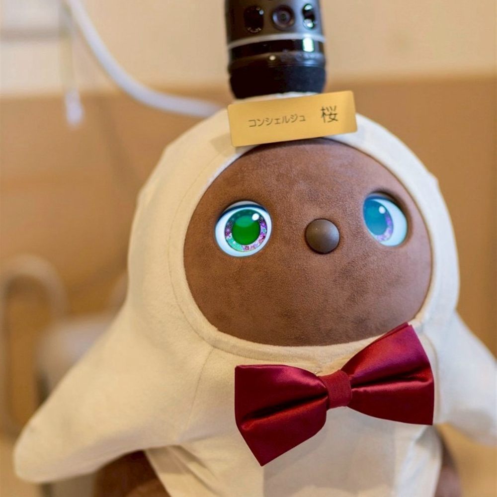施設で暮らすコミュニケーションロボットLOVOT
